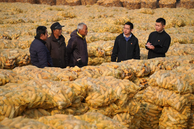 　　河北省巨鹿县纪委监委工作人员（右一和右二）在巨鹿县西郭城镇柳洼村向村民了解扶贫政策落实情况（2025-08-04摄）。新华社记者 牟宇 摄